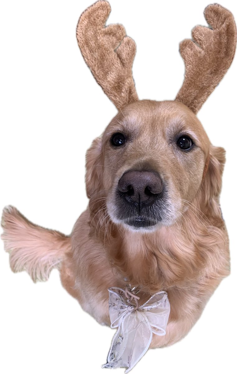 嶽温泉 嶽ホテル tweet media