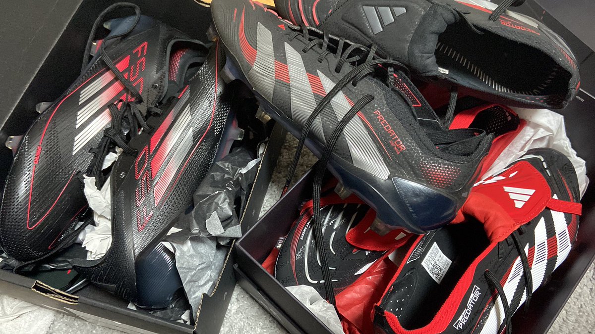 今年はドンピシャなカラーが多くて嬉しい年でした🤩