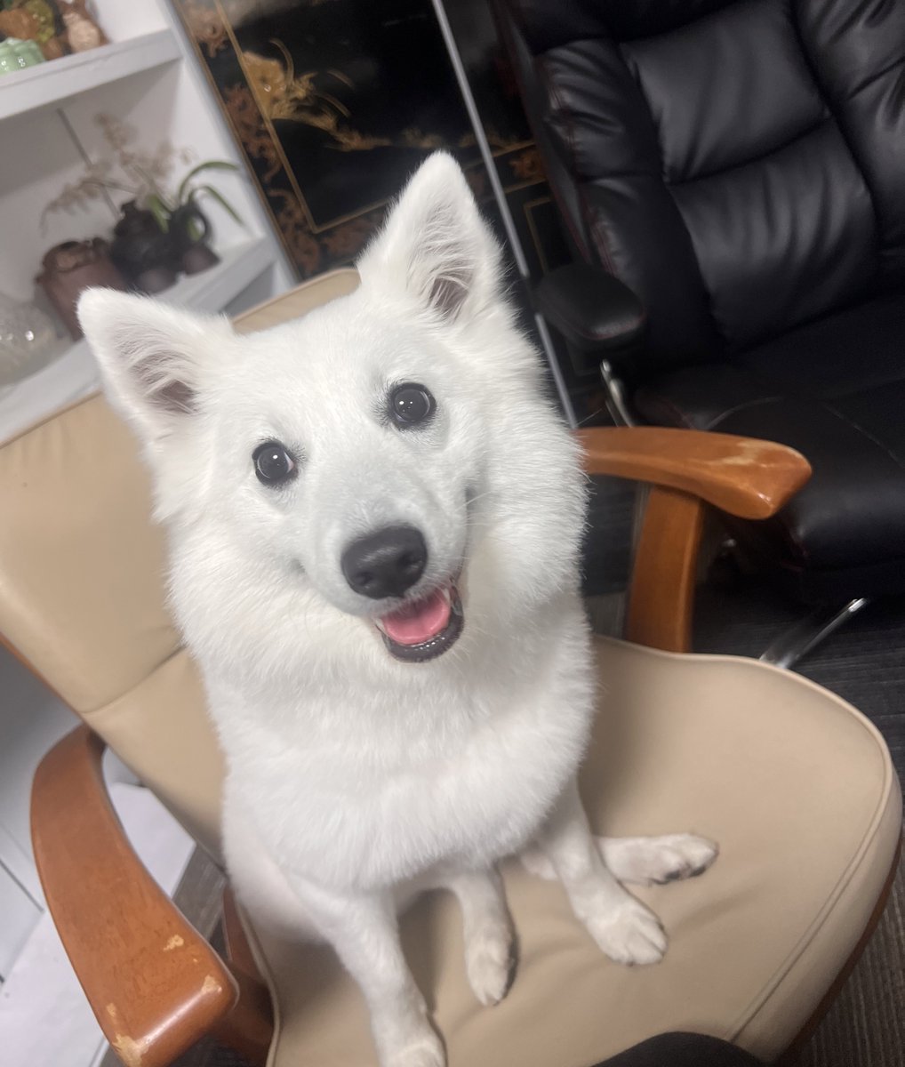 かずみん⭕️@2/23初ワンマン❣️ (@kazuminofficial) / Posts and