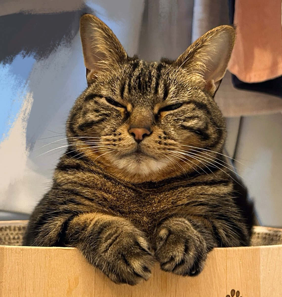 かんぴょう丸(国産)🌸 (@kanpyo_japan) / Posts / X