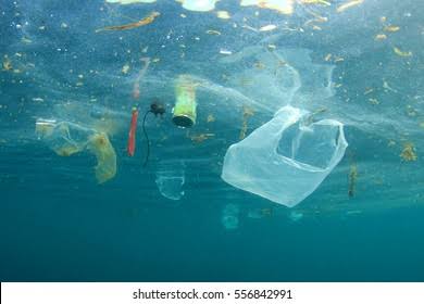 pankajk_vm's tweet photo. “We created plastics — something that should never have existed, not just on Earth, but anywhere in the universe.”

#PlasticPollution #Microplastics #ClimateCrisis #Earth #humanity https://t.co/wSbmSE0fdz