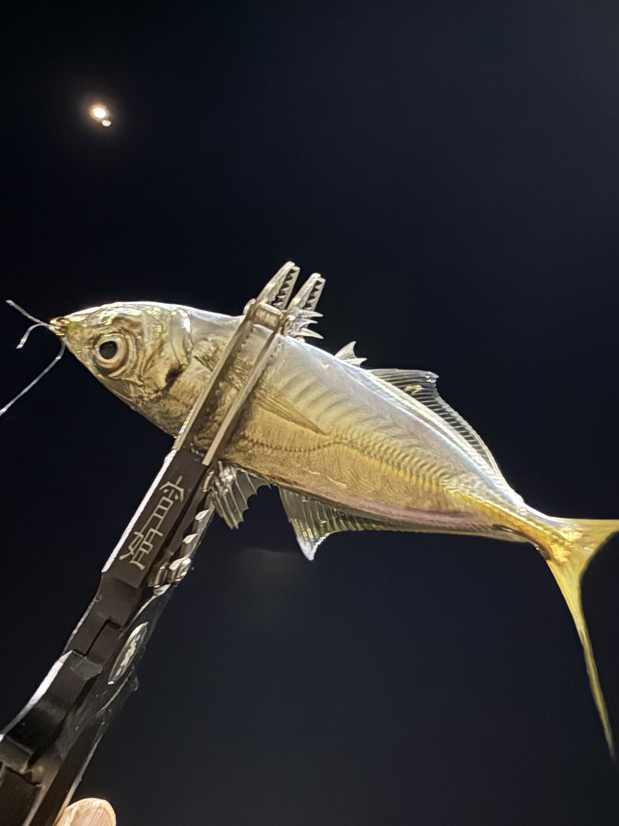 手稲の蒼い流星 tweet media