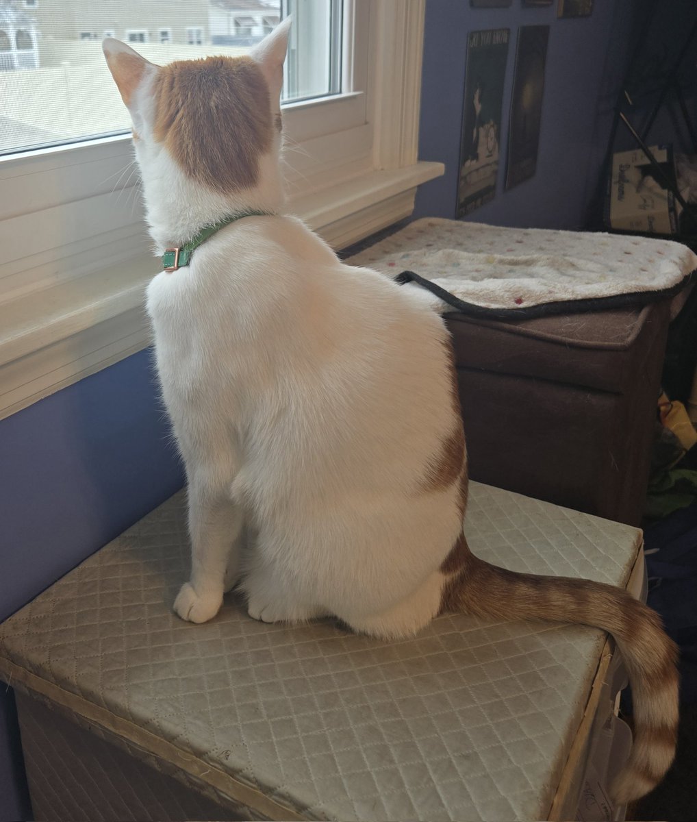 Busy Boy Floyd tweet media