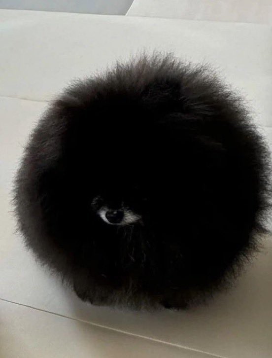 一瞬、「目」かと思ったら
「鼻と口」だった...