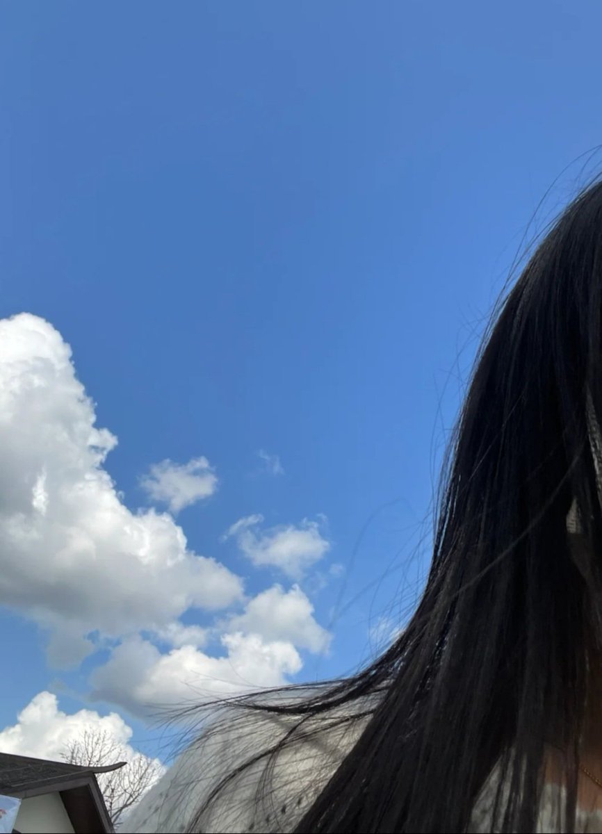 99% (@blueflower_82) on Twitter photo 