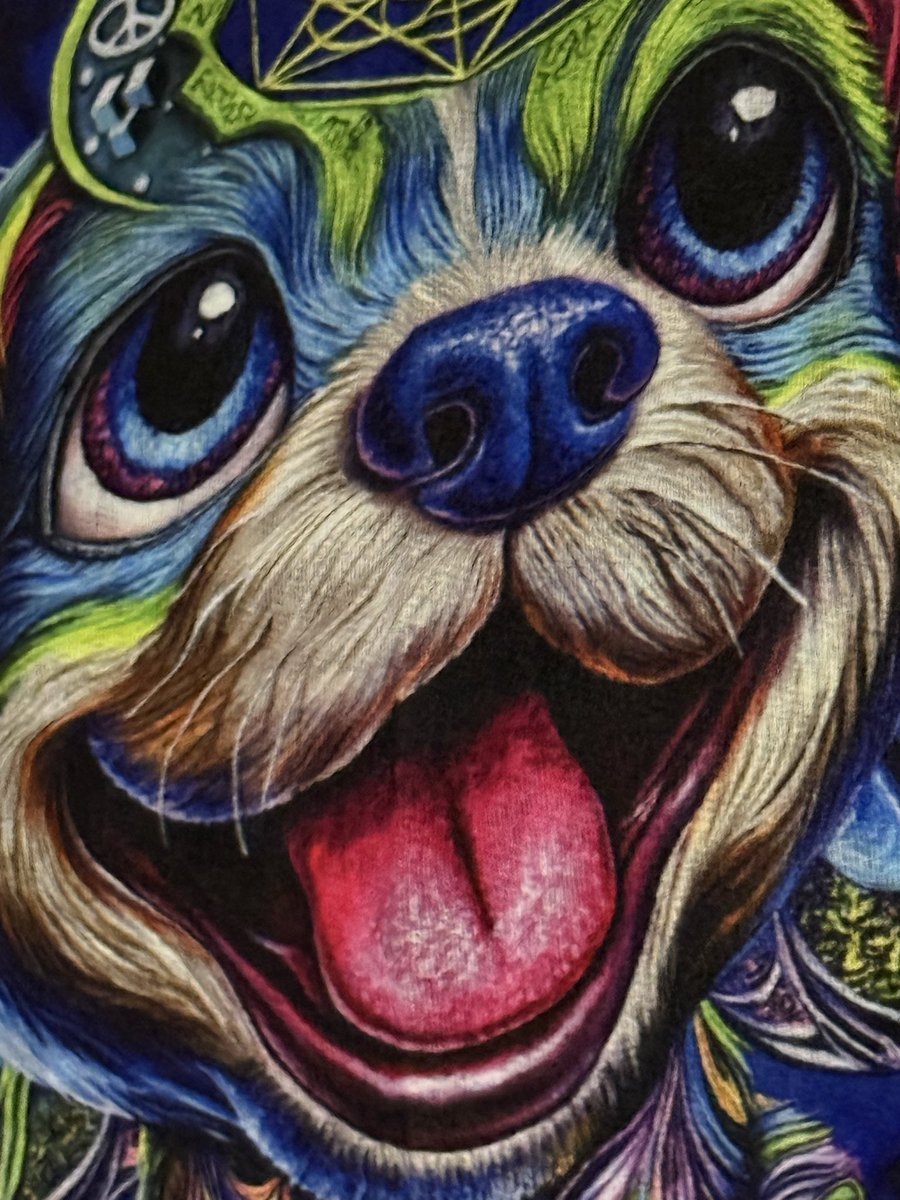 🌲👽🌲 tweet media