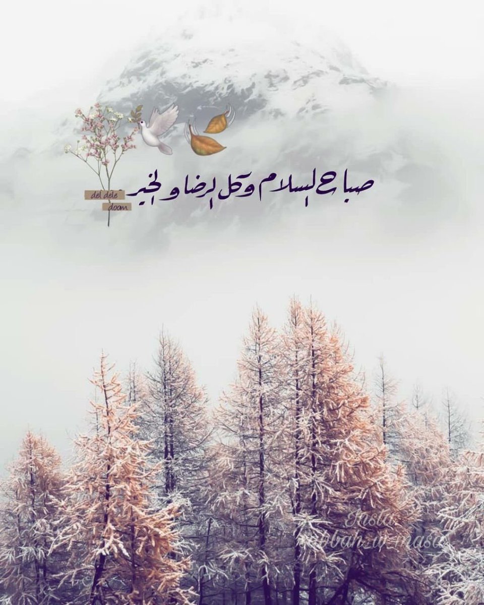 malak_h2020's tweet image. اللهم اجعل لنا نصيبًا من السعادة لا ينتهي، وراحةً تملأ قلوبنا، وخيرًا يرافقنا أينما كنّا💖💝

#صِبّــآحً_آلَخٌــيّر_وِآلَسًعَـــآدُهِ #صِـبّـآحً_آلَأشّــيّآء_آلَمِشّـرقَـة 
#اقتباسات