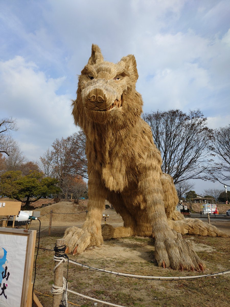 在Threads上看到很多人說伯恩山的平均壽命只有7、8年其實養之前就知道這件事情但是越接近這個歲數還是會覺得很捨不得, image size:900x1200