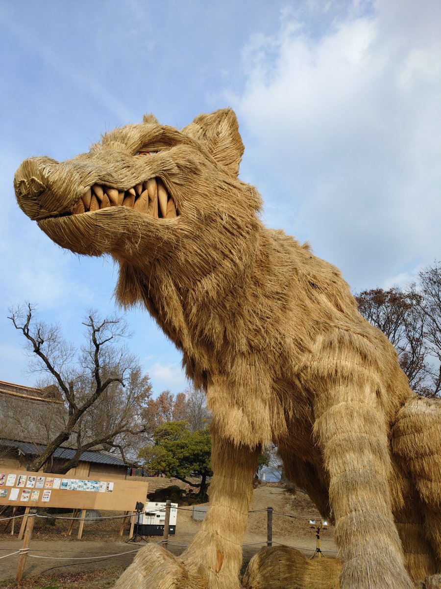 高加索犬幼犬巨型纯种熊版牧羊犬幼崽俄罗斯大型护卫犬超大直播卖-淘宝网, image size:900x1200