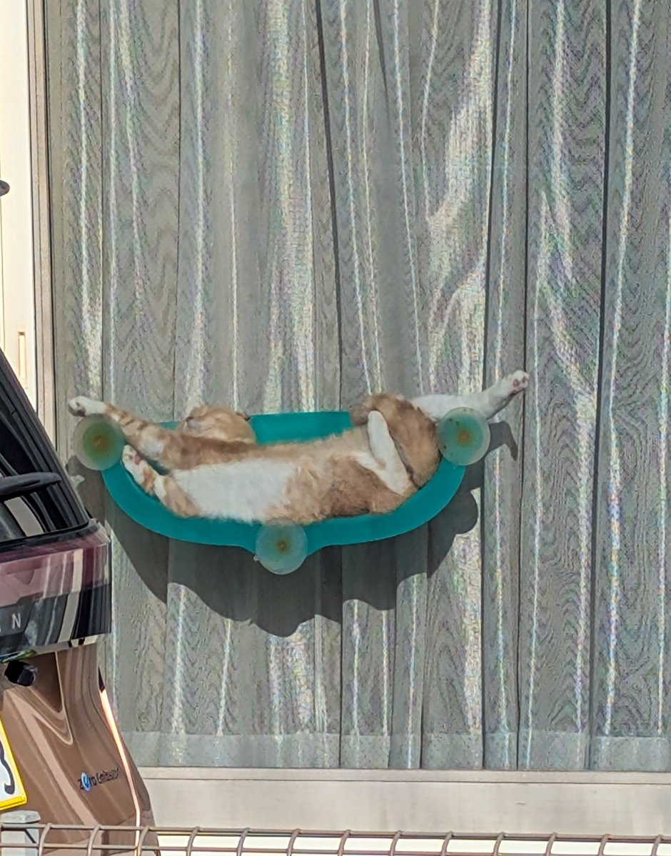 Хочу быть им