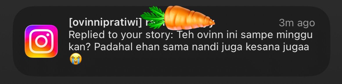 2024 pernah diselamatkan mereka ini waktu kemaleman di lembah tengkorak (hampir ga bisa pulang). 2025 KOK BISA barengan lagi di puncak pangradinan tapi duo burem ak dan ala yah mana sadar…….