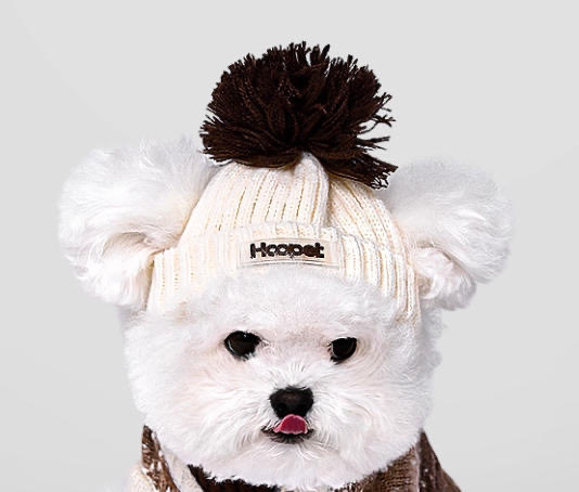 _cheriru's tweet photo. ポンポンニット帽❄️

大きめポンポンがとってもかわいいニット帽です！

size：S,M

price：¥2,100

┈┈┈┈┈┈┈┈┈┈┈┈┈┈┈┈┈┈┈
🎍年末年始も営業中！🎍

✔︎ 全ての商品が即納📦
✔︎ 当日〜3日以内に国内より発送🚚

┈┈┈┈┈┈┈┈┈┈┈┈┈┈┈┈┈┈┈

#chériru https://t.co/9xQBRGECAJ