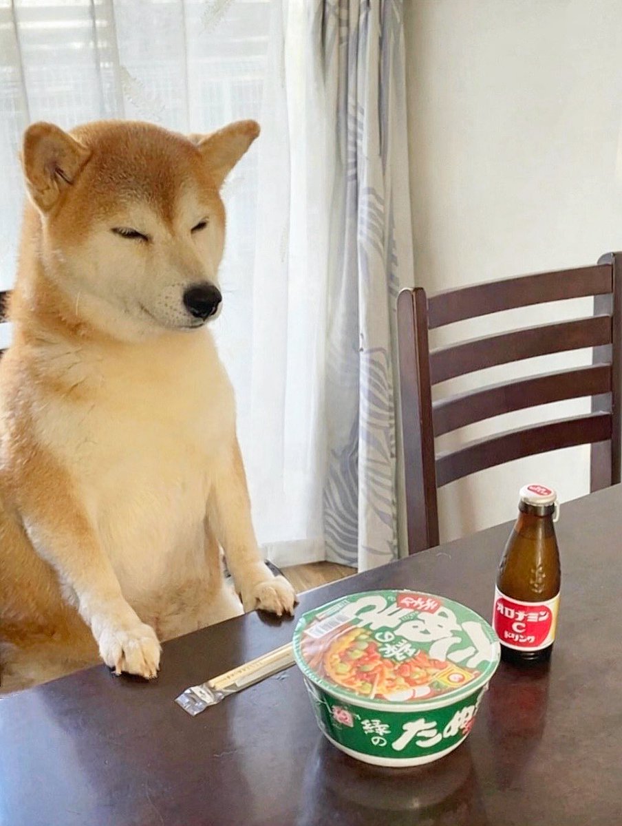 お座りコロンと柴犬♡ 柴犬·͜·♡もも (@momonosekaiii) / Posts / X