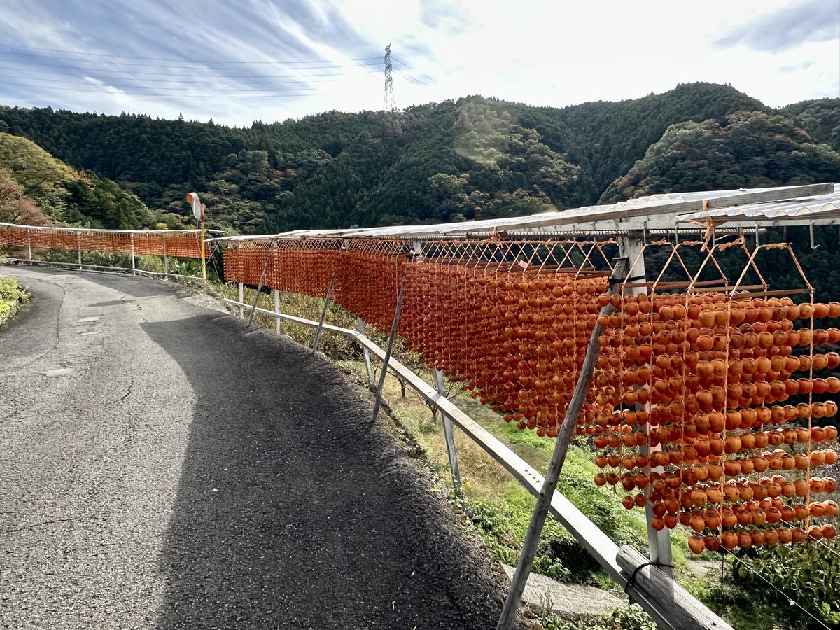 和歌山県伊都郡橋本市紀北地域情報発信‼️ (@katsuragi6075) / Posts / X