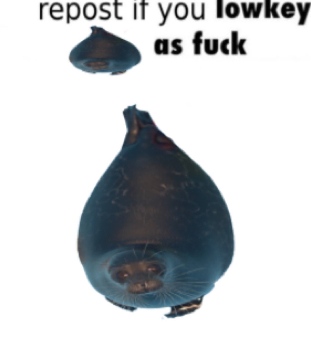 grindgod26's tweet image. ♻️