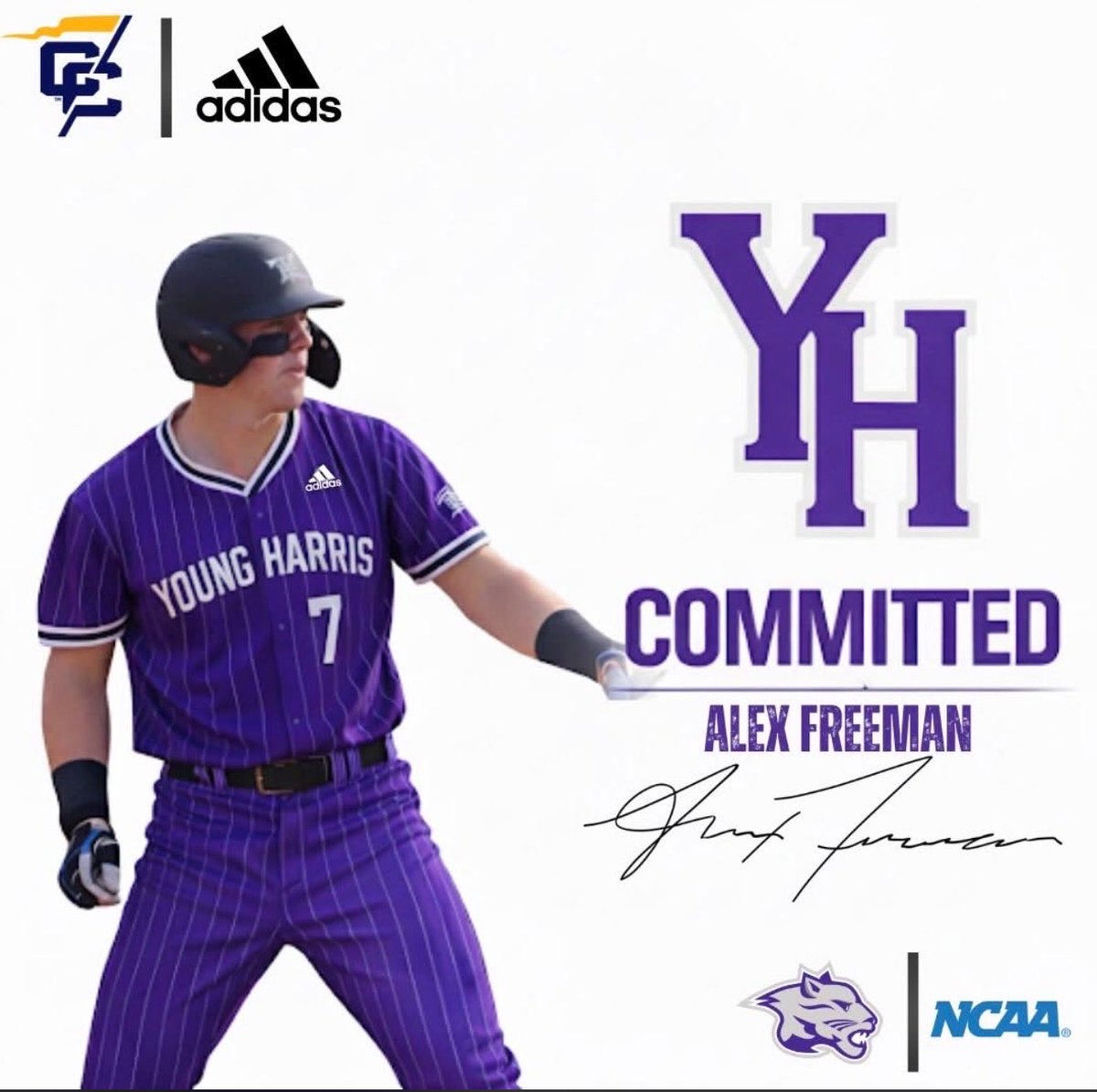 White County High School Baseball tweet media