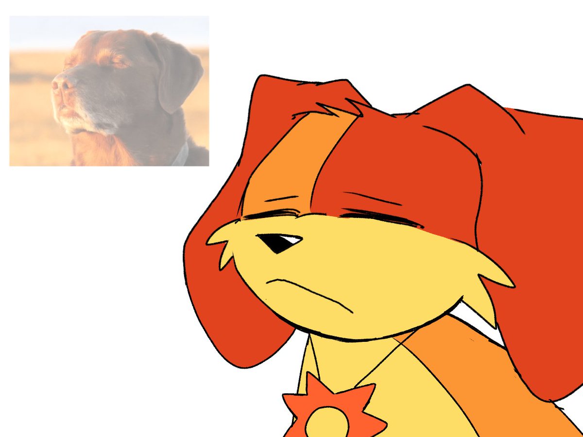 Paulo75652968's tweet image. Memes. 👀

Idea by @/LeGrandMp4 
#Catnap #Dogday #Memes