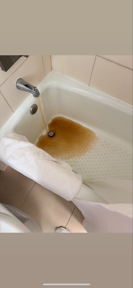 Alethea (Ec) Setser tweet media