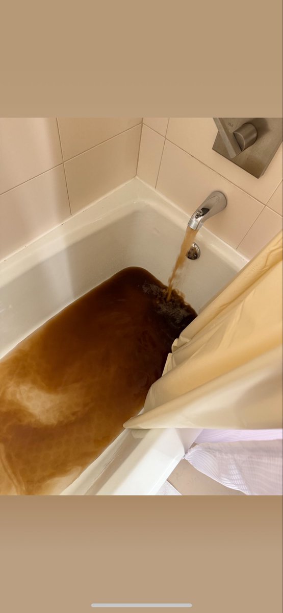 Alethea (Ec) Setser tweet media