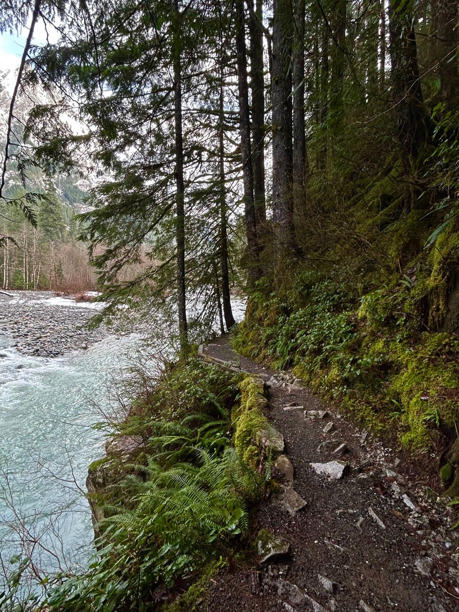 seattleiminyou's tweet image. North Bend, Washington