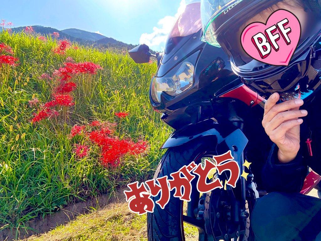 mimi( ◔︎㉦◔︎ ) (@mimi_mimi250) / Posts / X