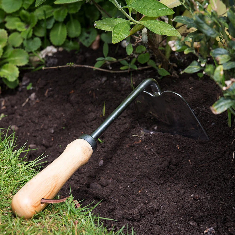 jinyuan80911's tweet image. 🌱 Heavy-duty garden hoe for weeding &amp;amp; soil cultivation. Multiple styles for fine or tough jobs, ergonomic grip, built to last. Ideal for gardens &amp;amp; farms.

📧 info@jinyuanint.com
🌐 jinyuanint.com

#jinyuantools #gardenhoe #weedingtools #gardentools #handtools