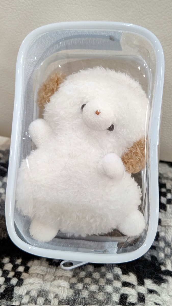 今年最後の検診でした。
誰について行ってもらおうかと思ったけど、ここはやっぱりこの子しかいないと。
チアちゃん、応援ありがとう😊
#ななどっこ
#さんじゅーななど
#フレフレチアちゃん