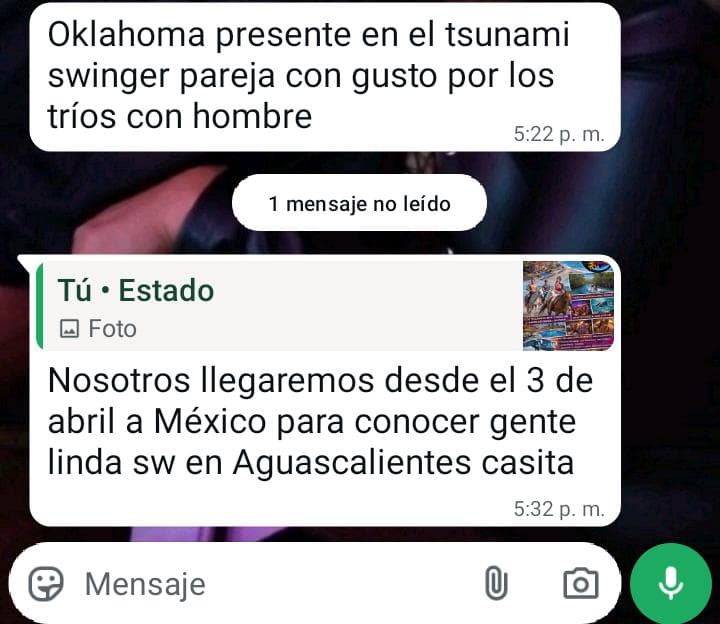 Tsunami Swinger tweet media