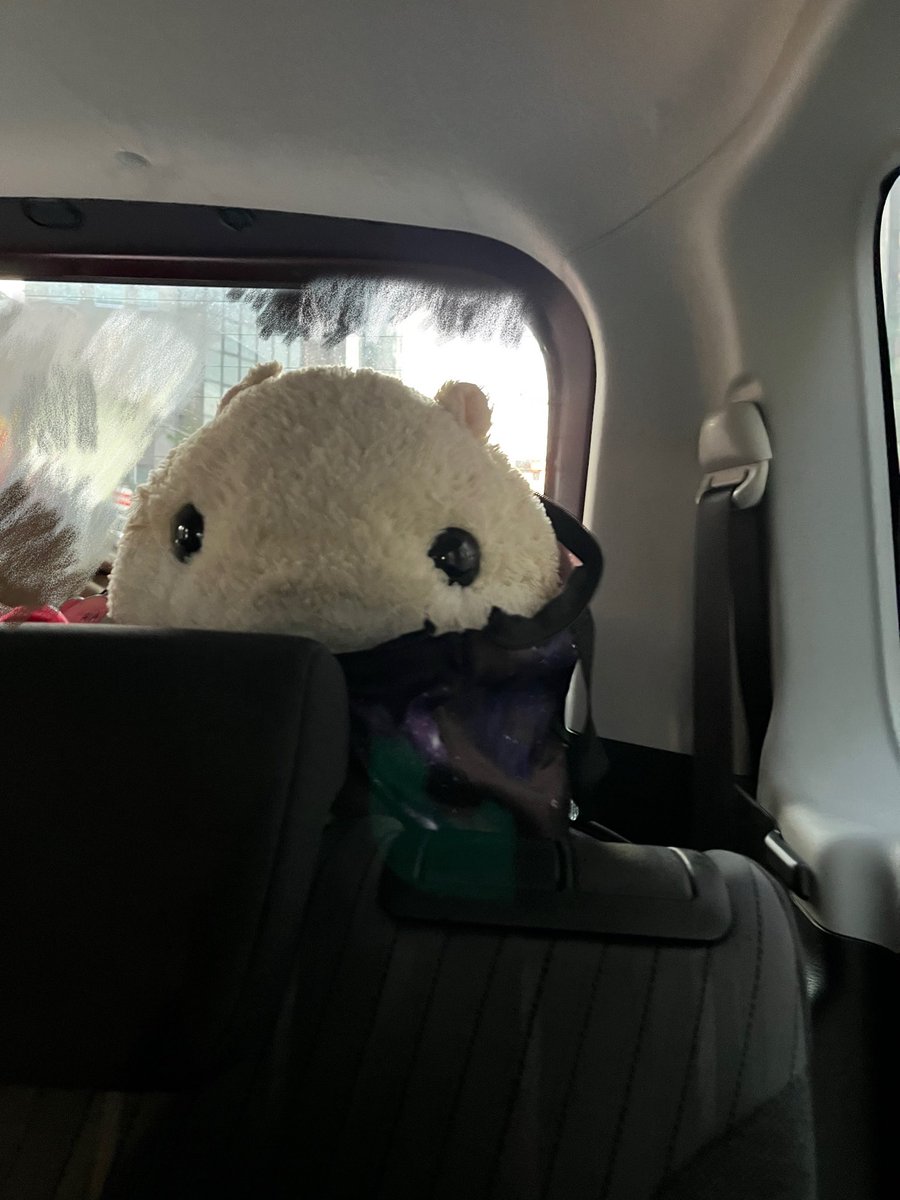 はむまる (@hamumaru_86) / Posts / X