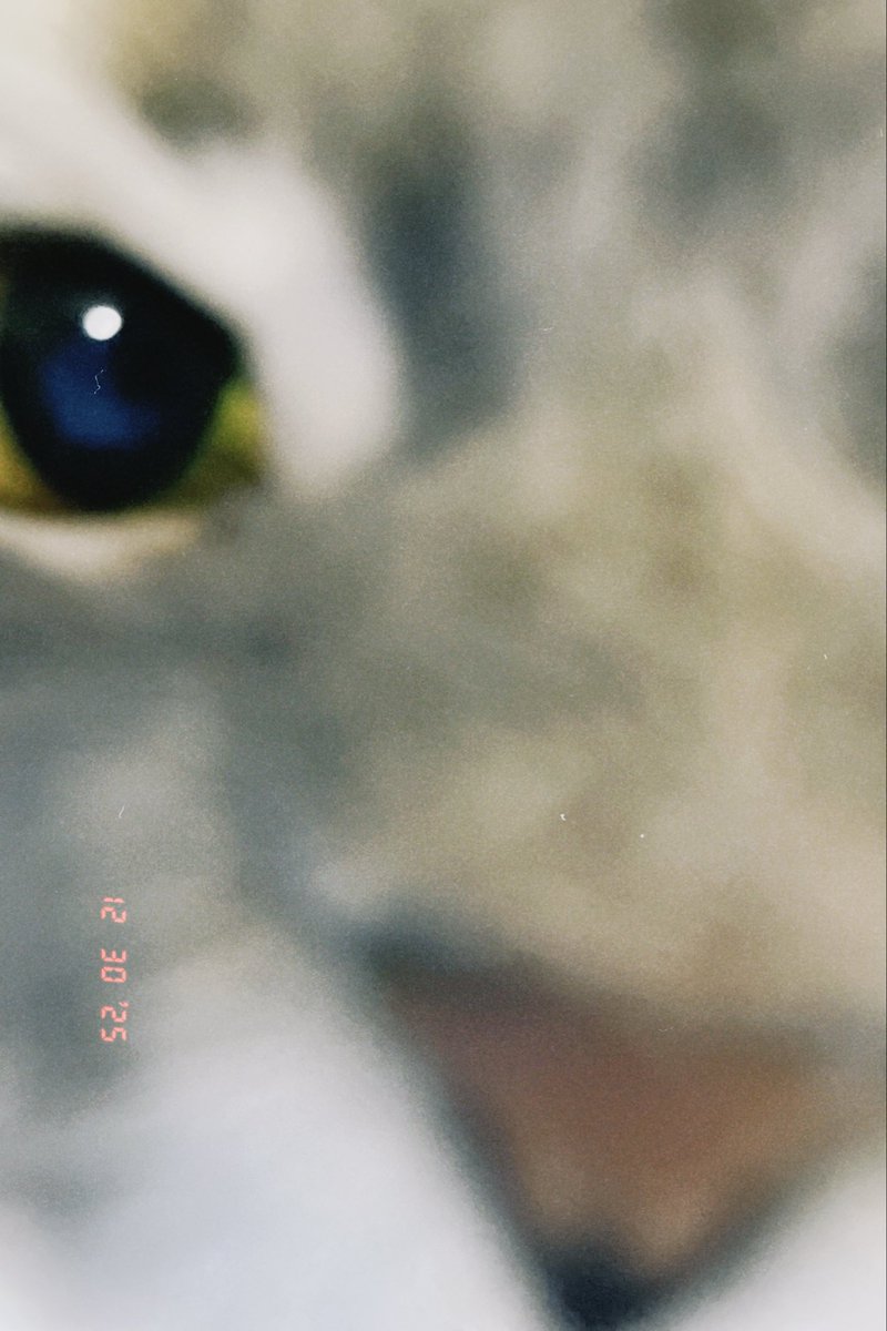 Hiroki Oka tweet media