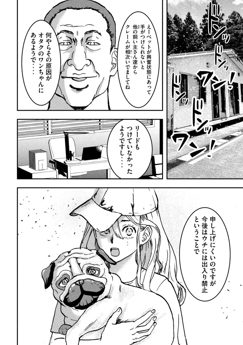 (6/6) 