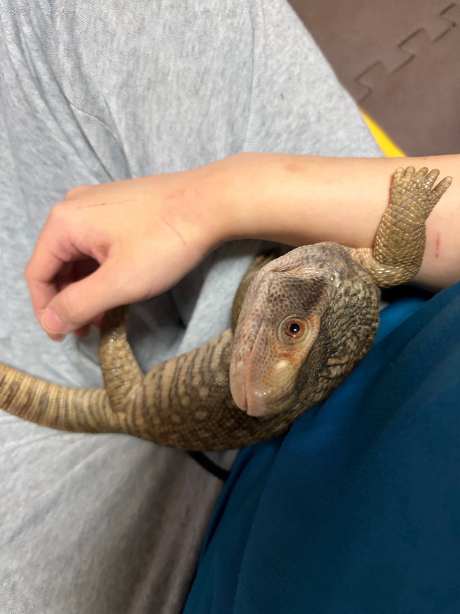 手懐けられたね〜…