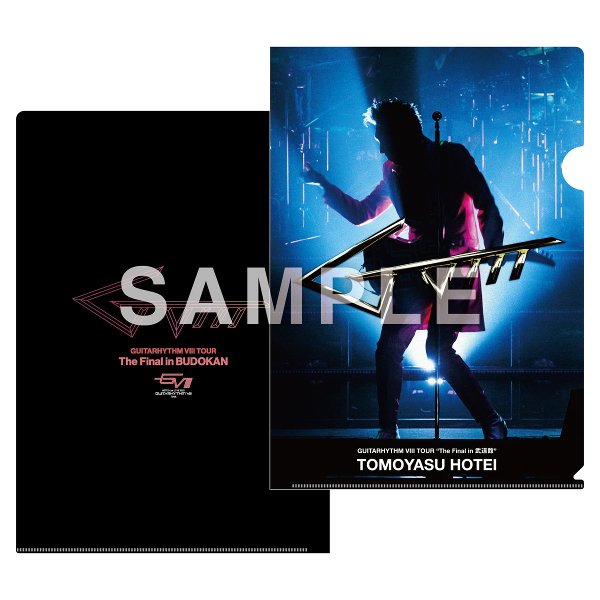 布袋寅泰 『GUITARHYTHM VIII TOUR “The Final in 武道館”』 ツアー