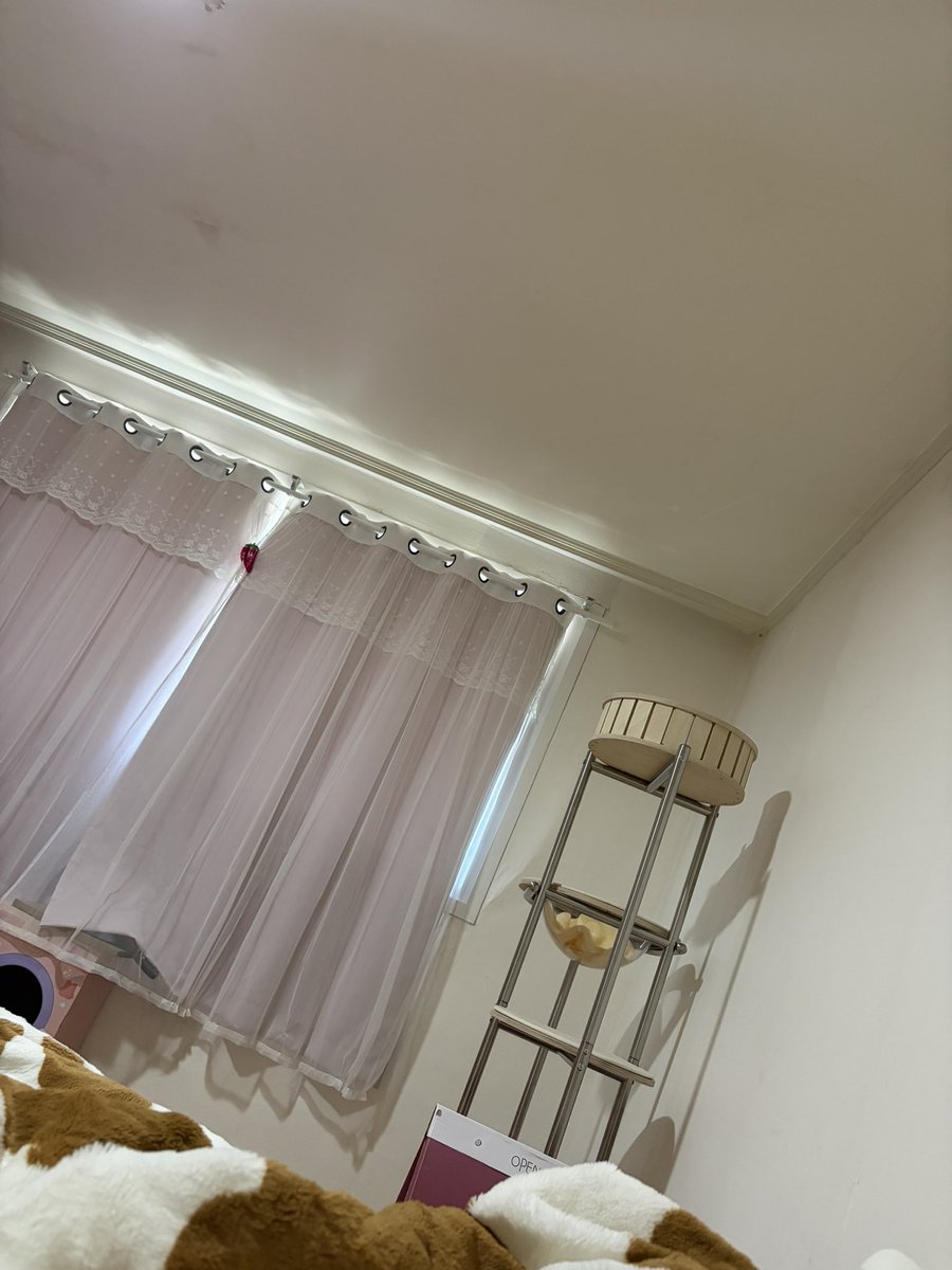 ㅇr 불키고 화장안지우고 기절함