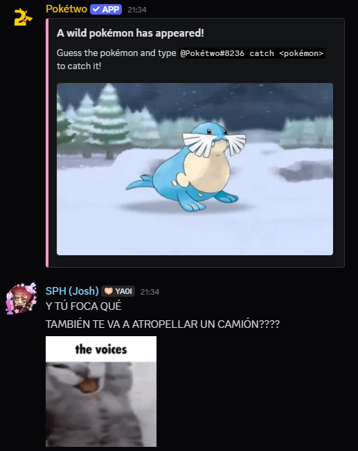 Selanime tweet media