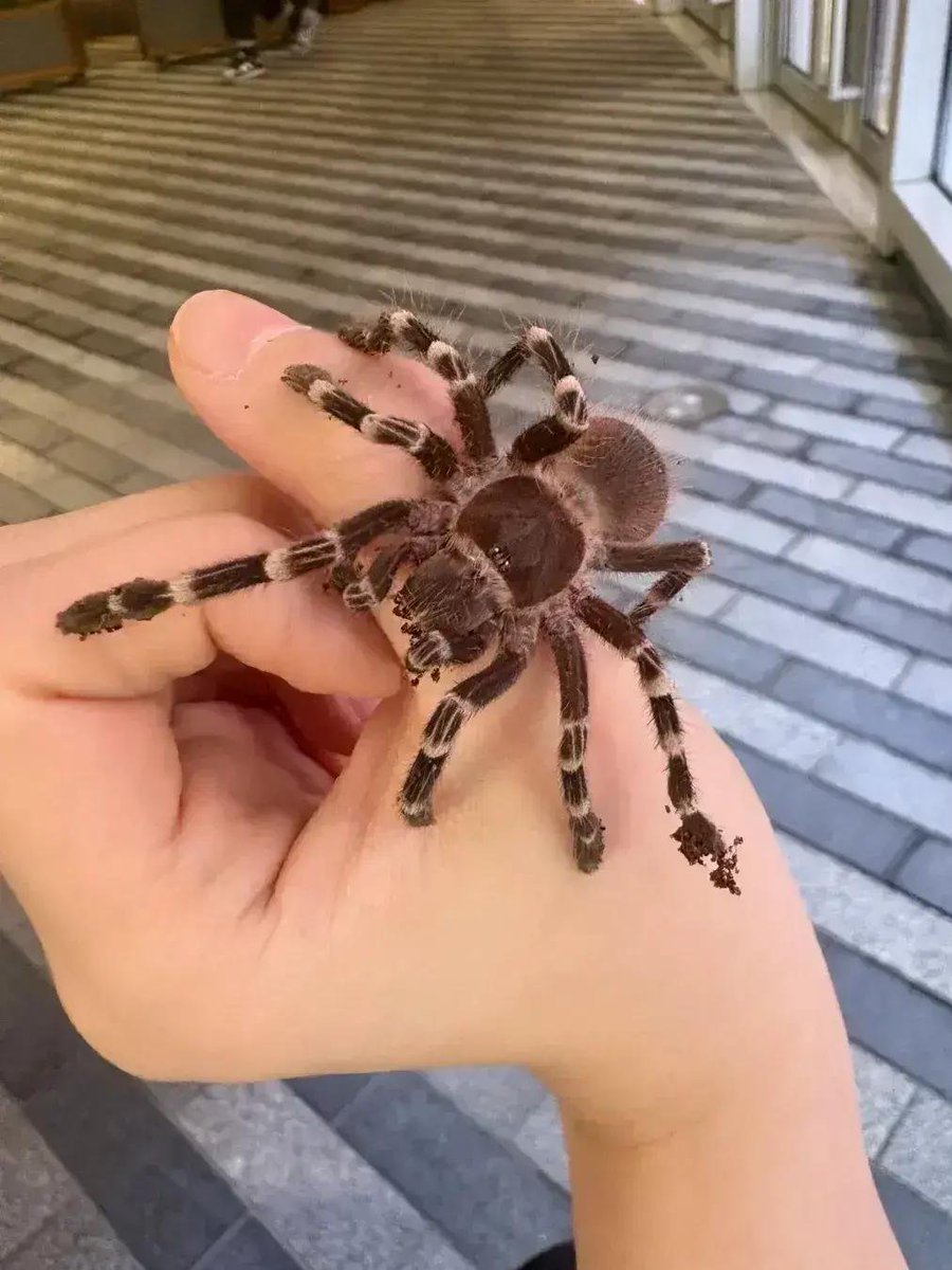 朝の光で考える tweet media