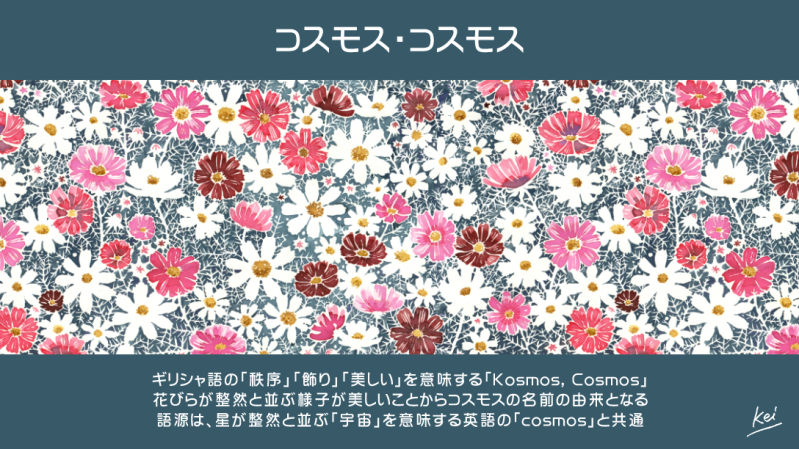 kei♡いつでもコメントください(^^)　専用 かわいー,,ᴗ ̫ ᴗ,,