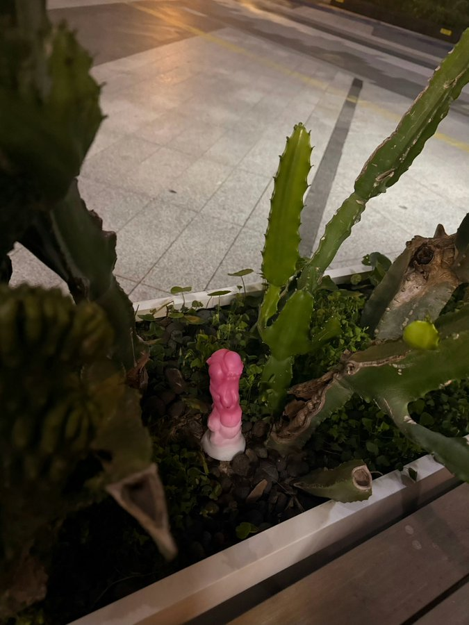 在路边发现了一个奇怪的东西