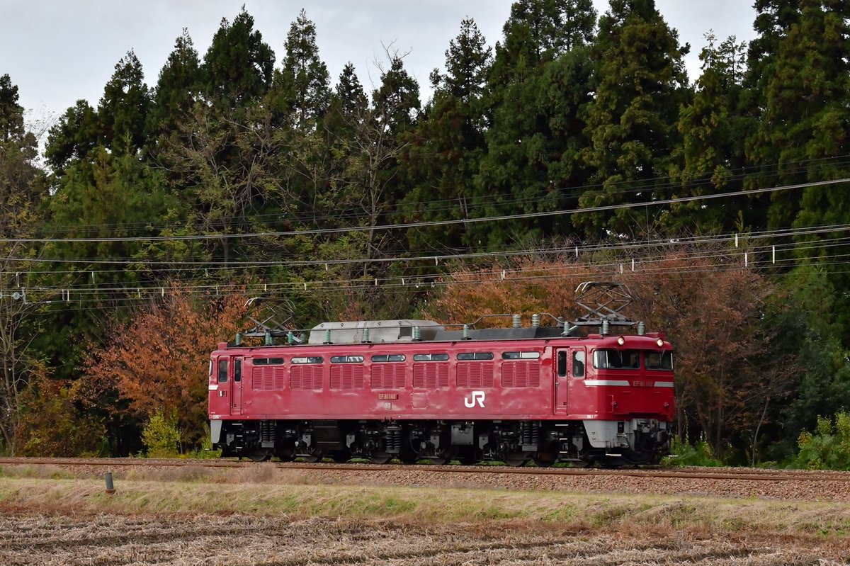 Hiroro (@5vf9ivvJhNQlXCc) / Posts / X