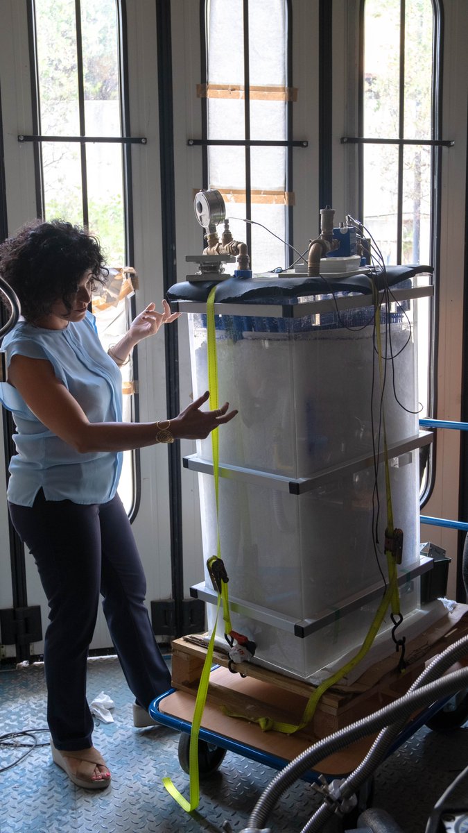 HYSTORE-PROJECT tweet media