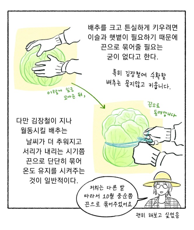 🥬도시농부 그림일기🥬18화 <가을 수확을 기다리며>
tobe.aladin.co.kr/n/542494