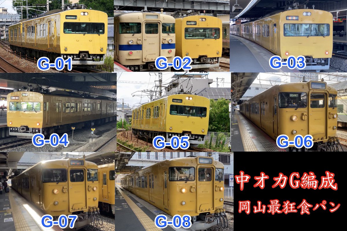 115系オカG編成 中途半端なカットもあれど全編成写真に収めていること