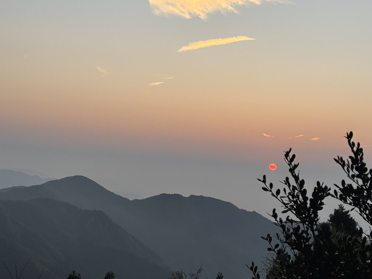 马上2026了 
这个混沌的加密货币市场
马上 会出很多🐶
一起期待吧 照片过年了