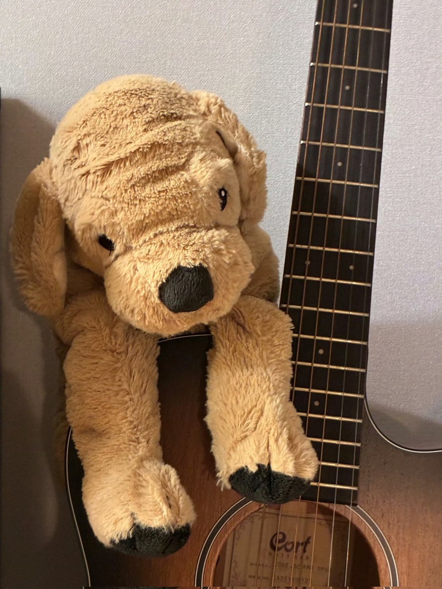 mindisky22's tweet image. What a meaningful gift! Seungmin actually bought 800 Daengmos for Stay. And he gave it to them before the recording so they can use them as a cheering tool and he gave them bags to carry it in after. How thoughtful is this guy? Amazing. 🤍

ROCKING WITH SEUNGMIN…