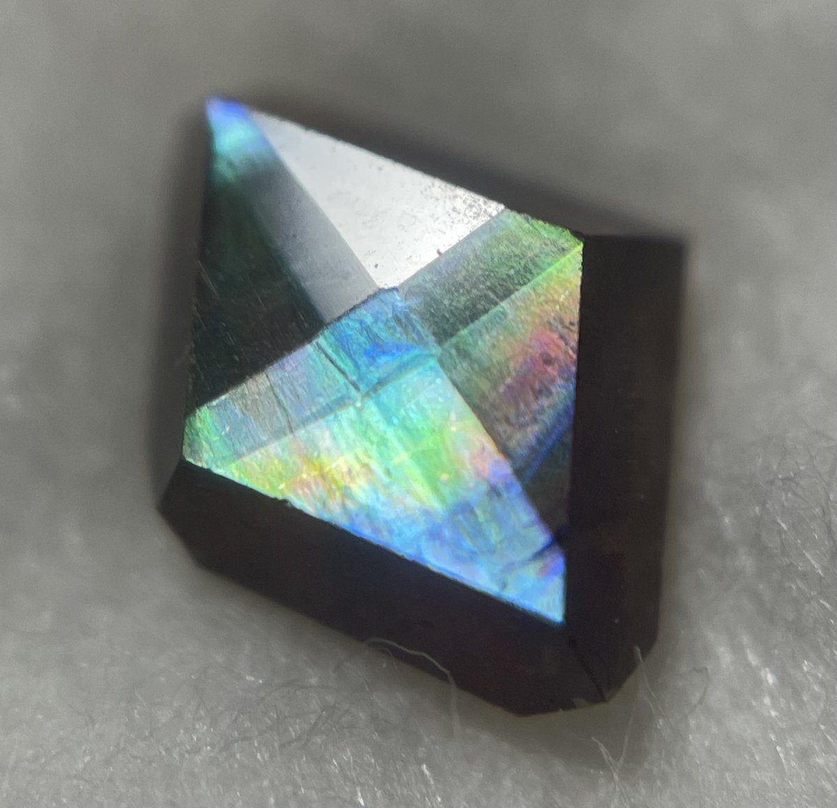 stellar_chaton's tweet image. これで年末も乗り越えられる…！