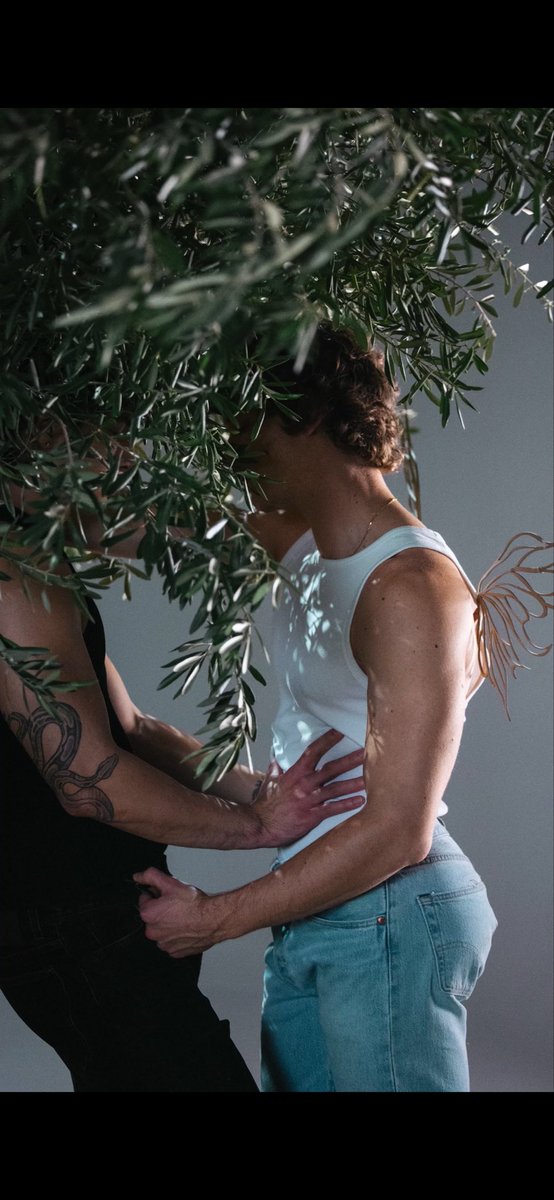 WritesStories13's tweet photo. It is hard to make me blush when smut is involved, but Connor and Hudson have me feeling like I have sinned. Giggling, blushing and needing a cold shower. Bravo, and a huge thank you to @tryquinn for #emberandice and please Hollywood, book these two together for EVERYTHING!! https://t.co/rJCn9h976p