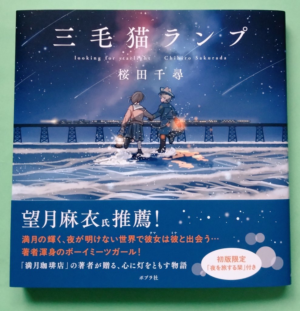 user_5ce2966eさま専用（原画）星見の夜 ほか　3点おまとめ 三毛猫ランプ 桜田千尋 先生 #読了 夜の明けない世界。 綺麗な星空が