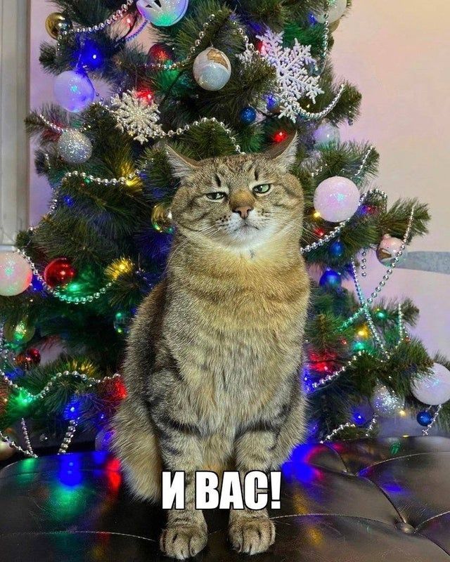 freewind777's tweet photo. Если лень писать ответ на поздравление https://t.co/UDrtFq1Bip