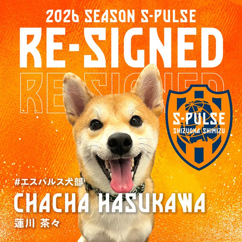 ぱーしゔぁる🇦🇶 (@Parziva11) / Posts / X