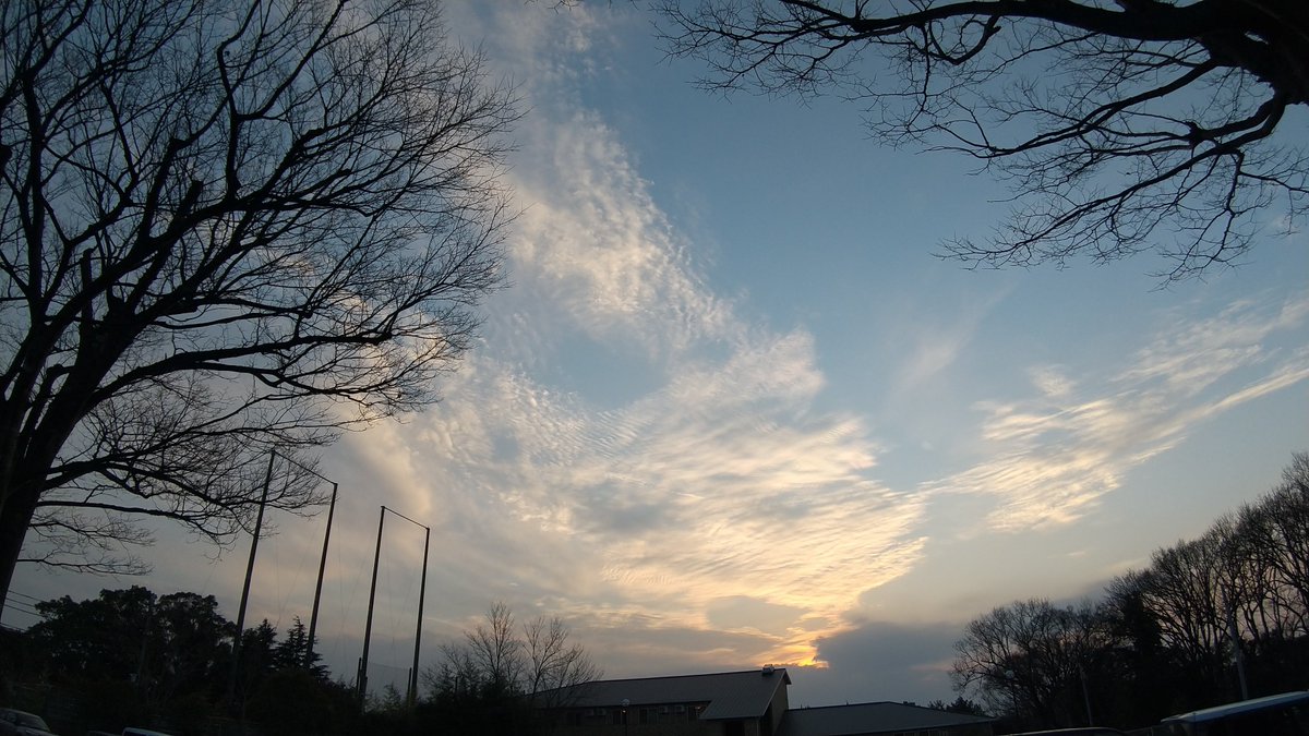 晦日の夕方散歩。

時々痛む左肩と肋骨を庇いながらちょっと遠くの公園まで。

年末ですねー 